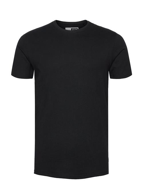 Solid | Sdrock Ss | L