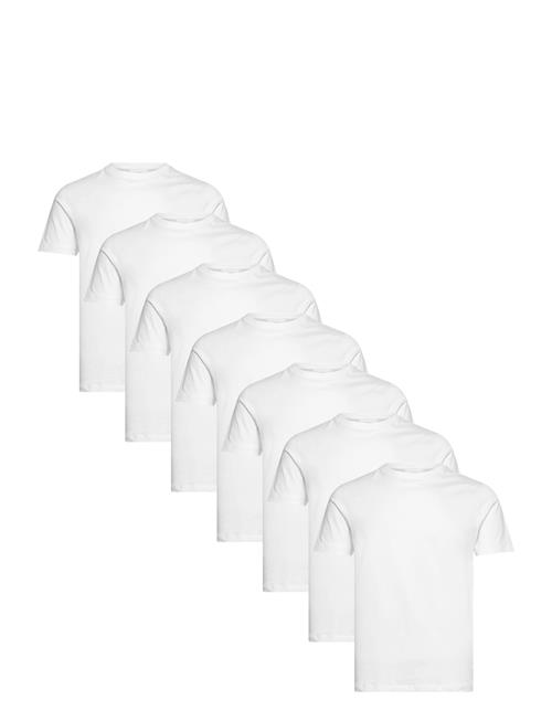 Lindbergh | Basic O-Neck Tee S/S 7 Pack | S