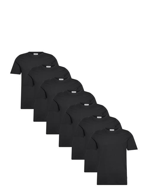 Lindbergh | Basic O-Neck Tee S/S 7 Pack | L