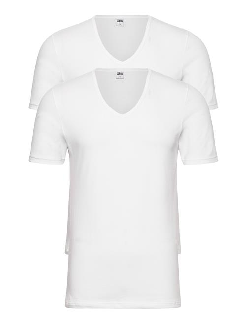JBS | Jbs 2-Pack T-Shirt V-Neck Gots | S