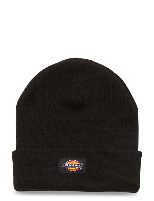 Dickies | Gibsland Beanie | ONE SIZE