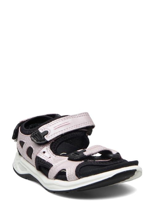 ECCO | X-Trinsic K | 25