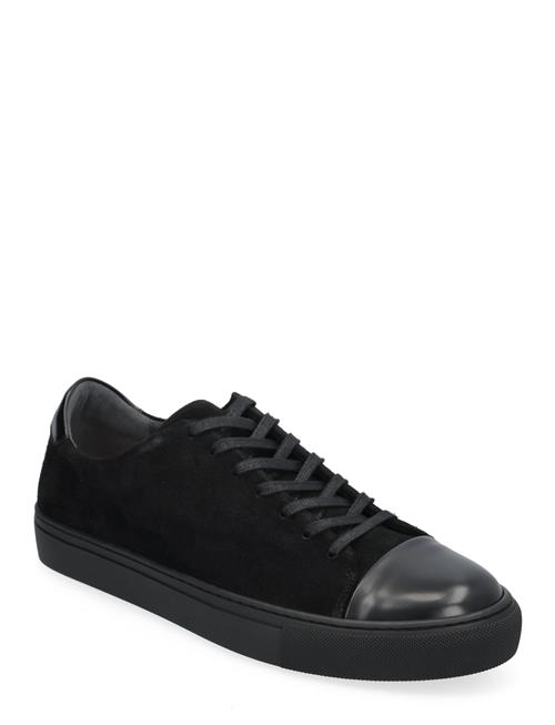 Sneaky Steve | Lescape Suede Shiny Black | 45