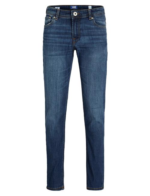 Jack & Jones | Jjiglenn Jjoriginal Cb 814 Noos Jnr | 176