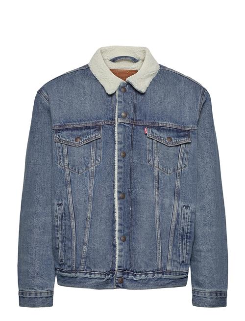 Levi's® | Type 3 Sherpa Trucker Fable Sh | M