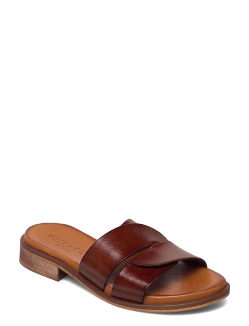 Pavement | Riley | 37