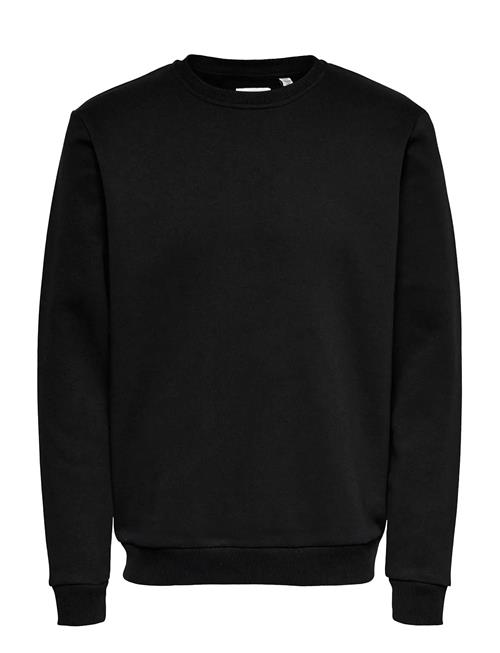 ONLY & SONS | Onsceres Crew Neck Noos | M