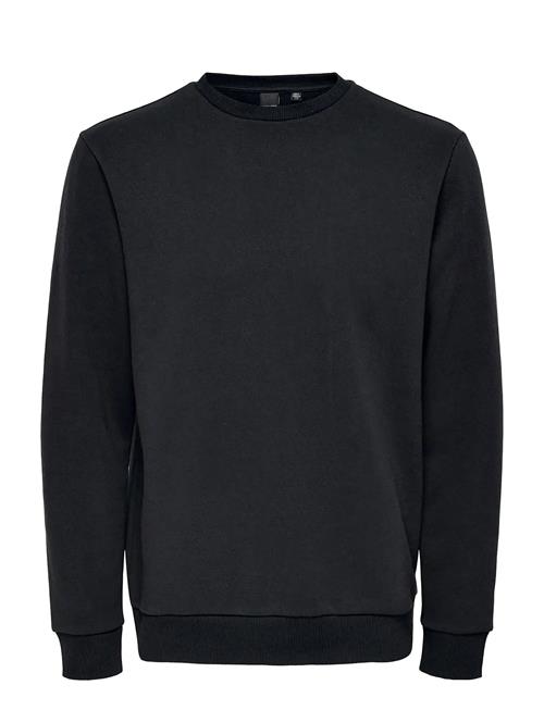 ONLY & SONS | Onsceres Crew Neck Noos | XS