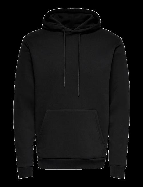 ONLY & SONS | Onsceres Hoodie Sweat Noos | S
