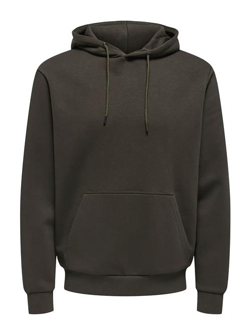 ONLY & SONS | Onsceres Hoodie Sweat Noos | XXL