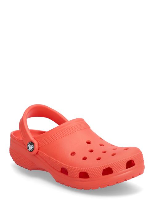 Crocs | Classic | 39/40
