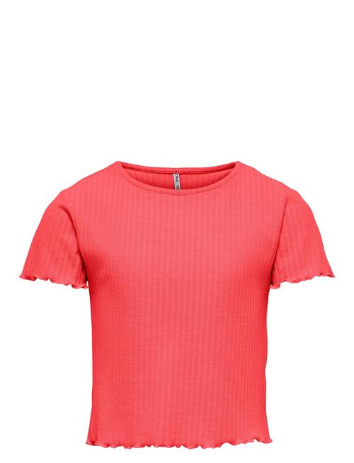 Kids Only | Konnella S/S O-Neck Top Jrs | 146-152