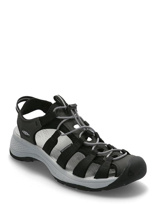 KEEN | Ke Astoria West Sandal W | 41