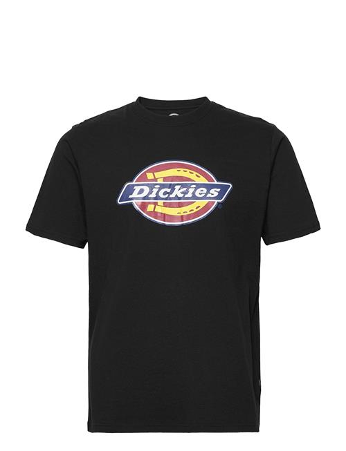 Dickies | Icon Logo Tee | L