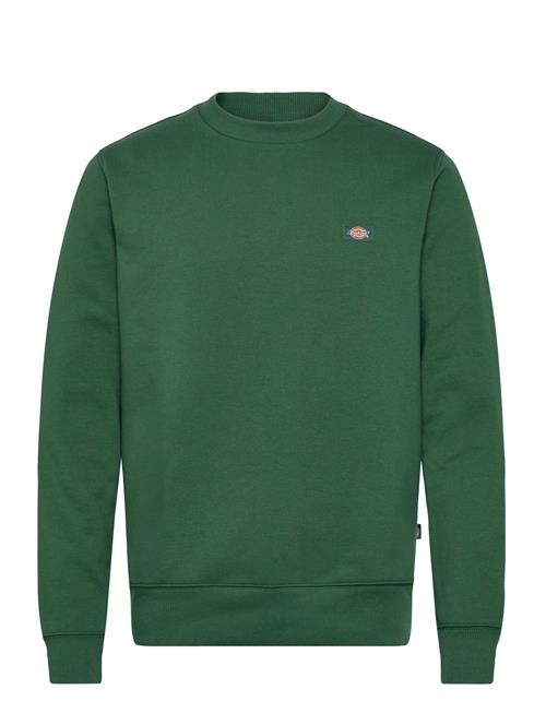 Dickies | Oakport Sweatshirt | S