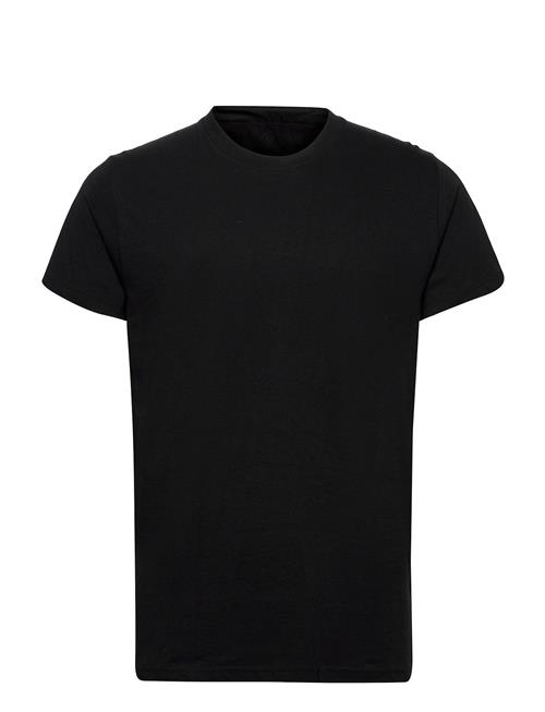 Revolution | Regular Fit Round Neck T-Shirt | XL