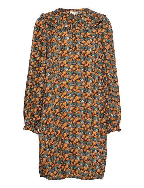 ICHI | Ixmoira Dr | 34