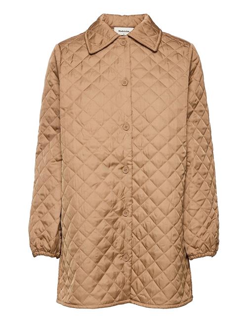 Modström | Joey Coatigan | M