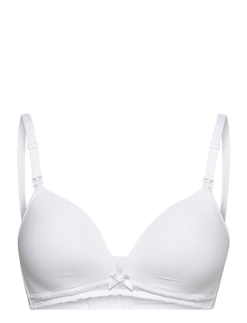 Dorina | Light Padded May Soft Bra | D x 80