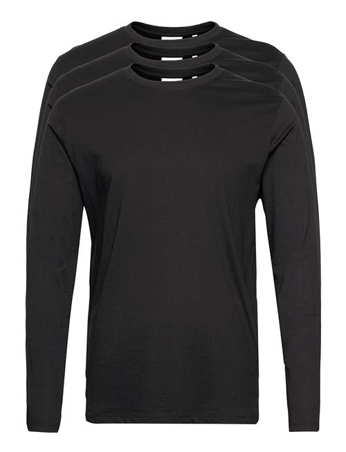 Lindbergh | 3-Pack Basic Tee L/S | L