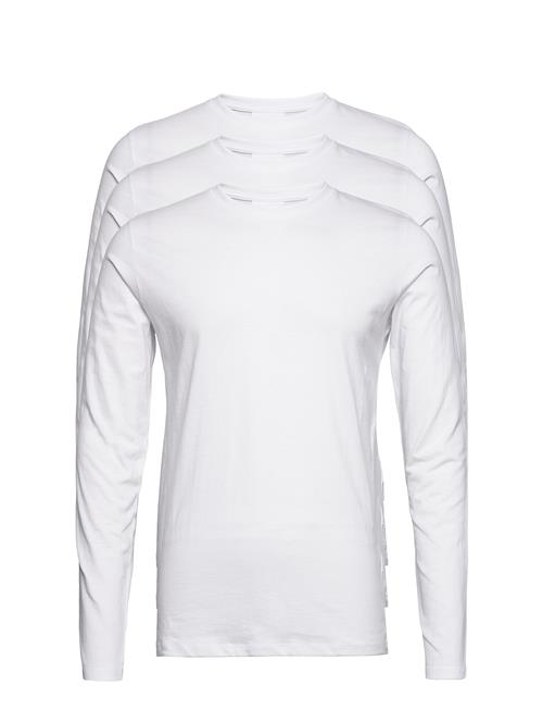 Lindbergh | 3Pk Basic Tee L/S | S