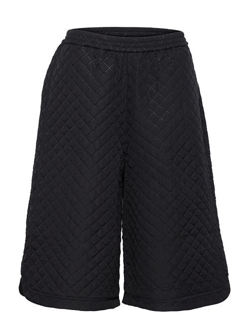 Stella Nova | Fibi | 36