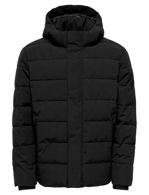 ONLY & SONS | Onscayson Puffa Otw Noos | L