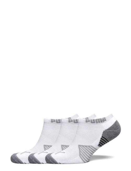 PUMA Golf | Puma Essential Low Cut 3 Pair Pack | 42-47