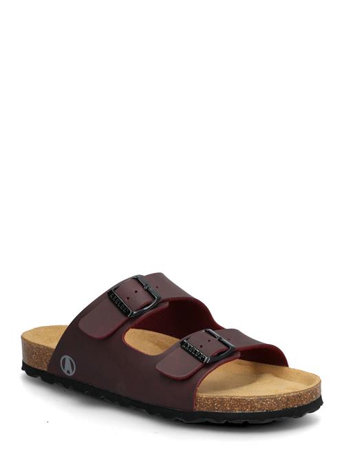 Axelda | Charlie | 40