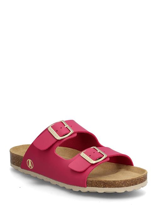 Axelda | Charlie | 42