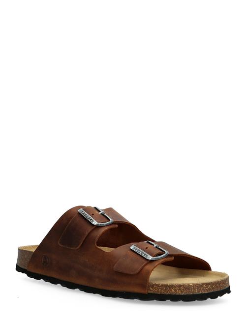 Axelda | Andrea | 42