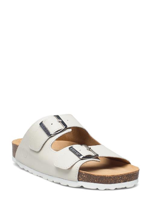 Axelda | Andrea | 36