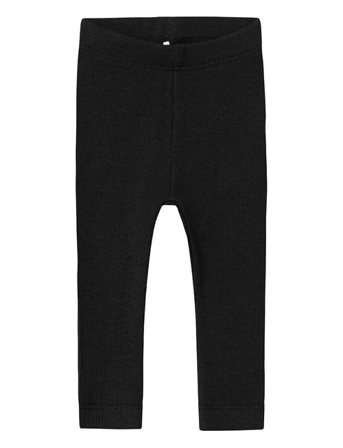 name it | Nbnkab Legging Noos | 116