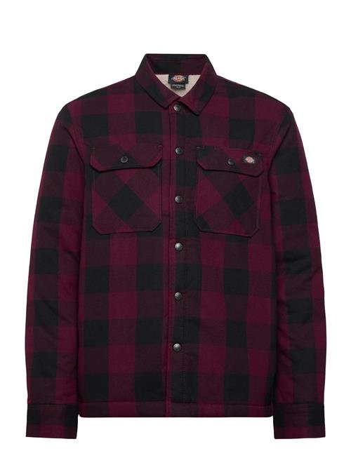 Dickies | Lined Sacramento | XS