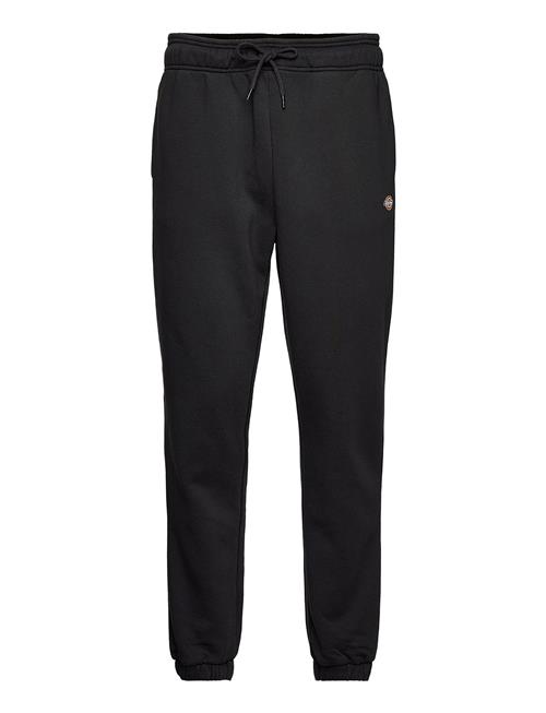 Dickies | U Mapleton Sweatpant | XS