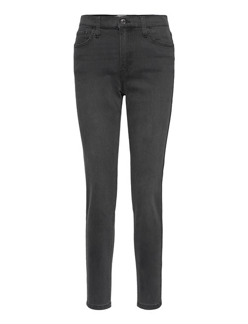 FREE/QUENT | Fqharlow-Je | 30 x 32