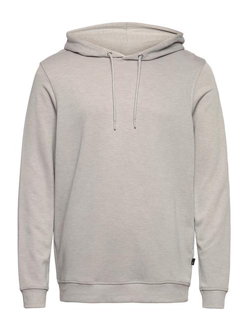 JBS of Denmark | Jbs Of Dk Logo Hoodie Fsc | S
