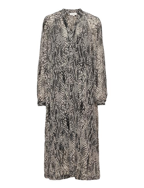 Six Ames | Rina | 36