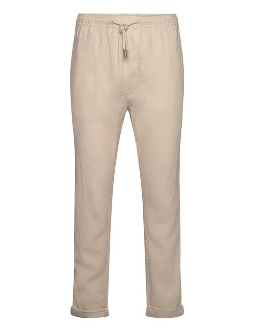 Solid | Sdtaiz Pa | XL