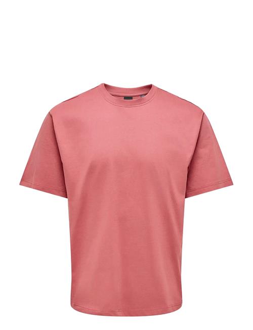 ONLY & SONS | Onsfred Life Rlx Ss Tee Noos | S