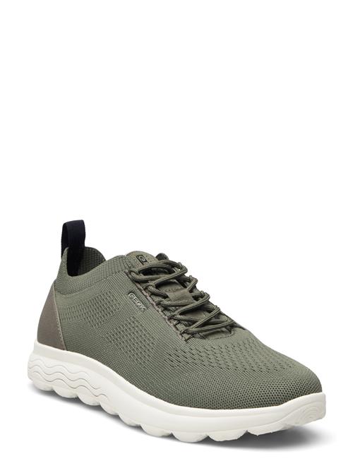 GEOX | U Spherica A | 41