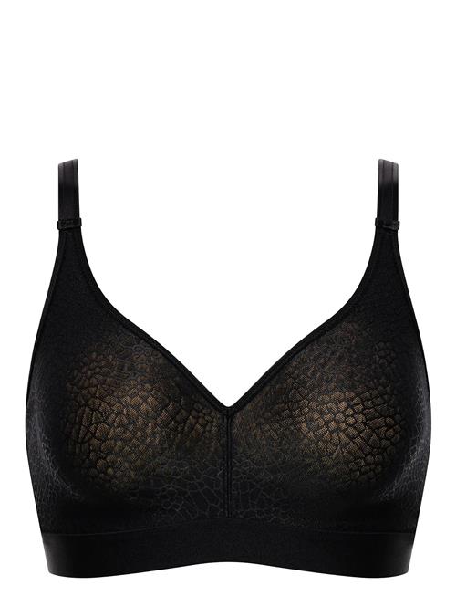 CHANTELLE | C Magnifique | G x 85