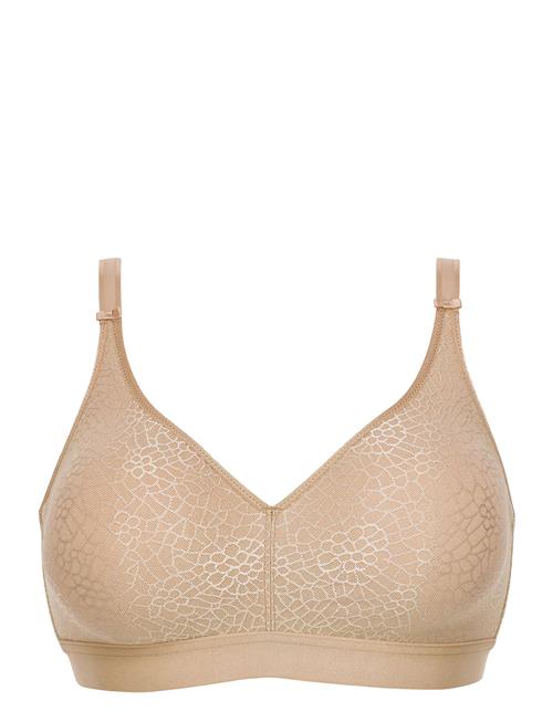 CHANTELLE | C Magnifique | D x 95