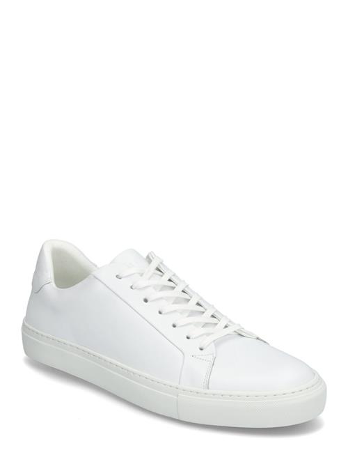 Se Sneaky Steve | Roony Black | 42 hos Booztlet