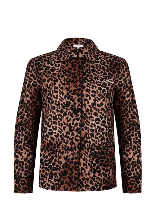 Love Stories | Joe | XS