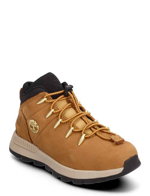 Timberland | Mid Lace Up Sneaker | 34
