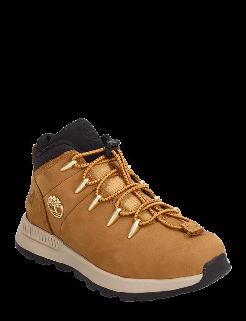 VF Sweden AB / Timberland | Mid Lace Up Sneaker | 34
