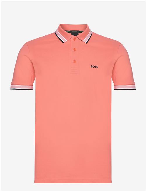 BOSS | Paddy | L