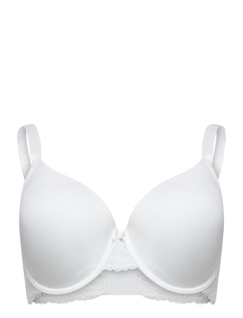 Dorina | Light_Padded Adele Demi | F x 85