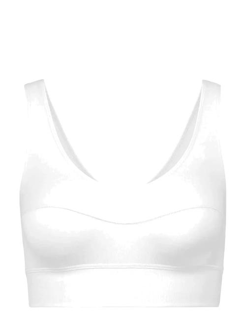 Calida | Elastic  Bustier | L